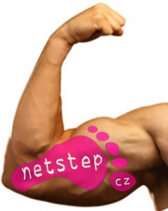 netstep muscle